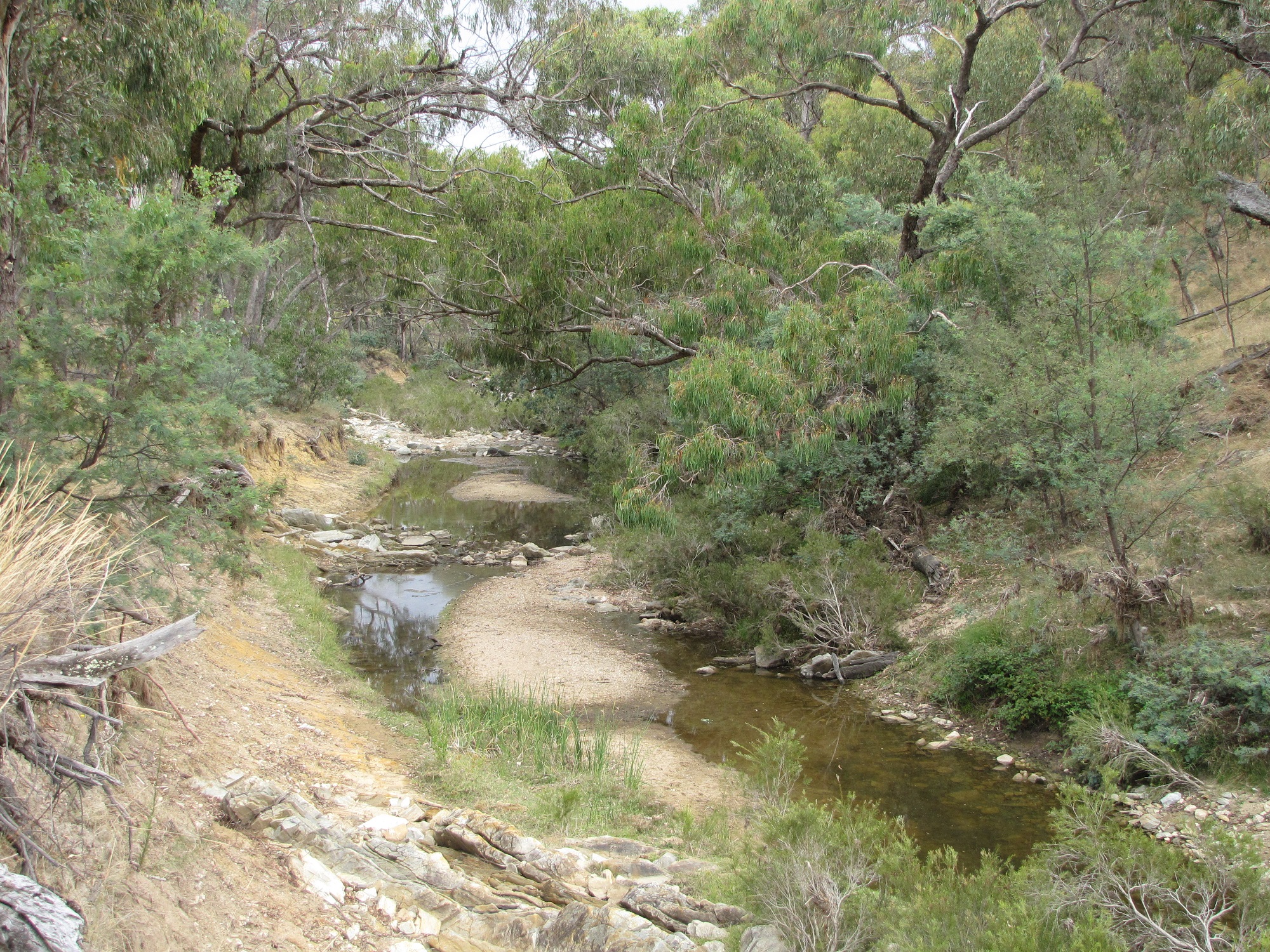 environmental 4